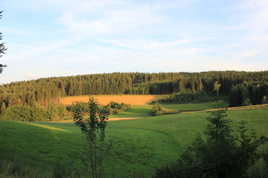 Landgasthof Haueis Marktleugast Exterior foto